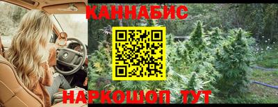 крисы Гусев