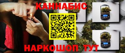 крисы Гусев