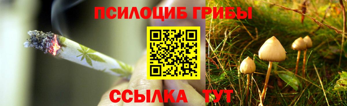 Камень-на-Оби  Галлюциногенные грибы прущие грибы  Вход с VPN 
